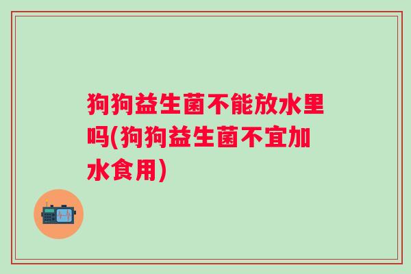 狗狗益生菌不能放水里吗(狗狗益生菌不宜加水食用)