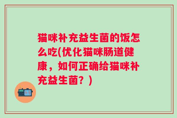 猫咪补充益生菌的饭怎么吃(优化猫咪肠道健康，如何正确给猫咪补充益生菌？)