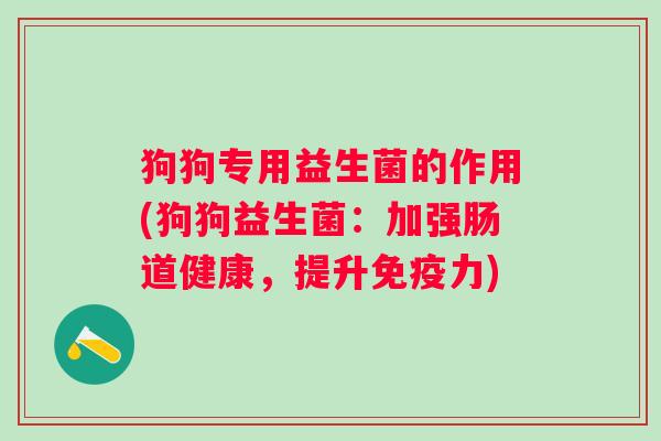 狗狗专用益生菌的作用(狗狗益生菌：加强肠道健康，提升力)