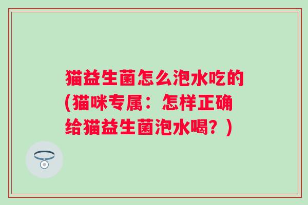 猫益生菌怎么泡水吃的(猫咪专属：怎样正确给猫益生菌泡水喝？)