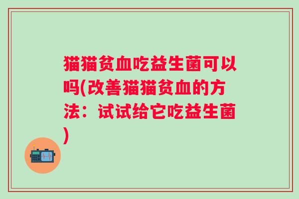 猫猫贫吃益生菌可以吗(改善猫猫贫的方法:试试给它吃益生菌) 猫猫贫吃益生菌可以吗(改善猫猫贫的方法:试试给它吃益生菌)