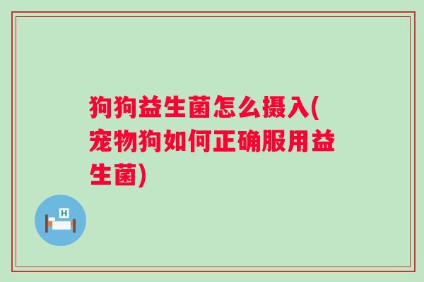 狗狗益生菌怎么摄入(宠物狗如何正确服用益生菌) 狗狗益生菌怎么摄入(宠物狗如何正确服用益生菌)