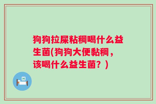 狗狗拉屎粘稠喝什么益生菌(狗狗大便黏稠，该喝什么益生菌？)