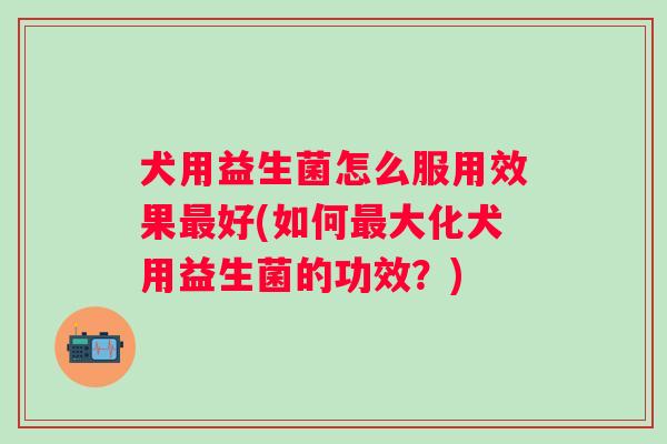 犬用益生菌怎么服用效果好(如何大化犬用益生菌的功效？)