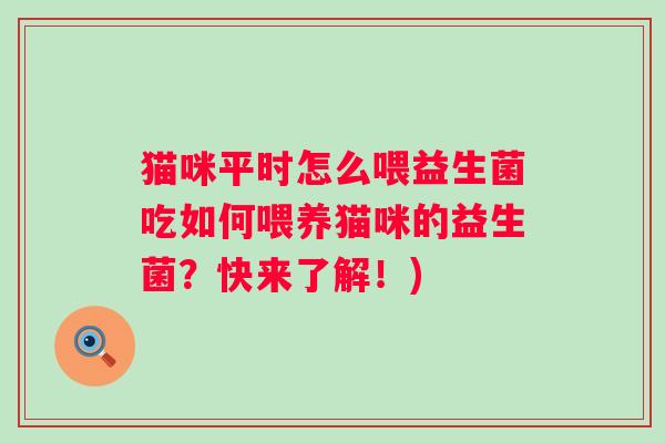 猫咪平时怎么喂益生菌吃如何喂养猫咪的益生菌?快来了解!) 猫咪平时怎么喂益生菌吃如何喂养猫咪的益生菌?快来了解!)