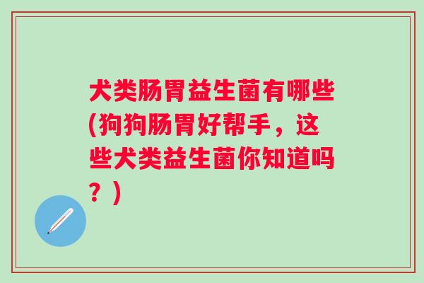 犬类肠胃益生菌有哪些(狗狗肠胃好帮手，这些犬类益生菌你知道吗？)
