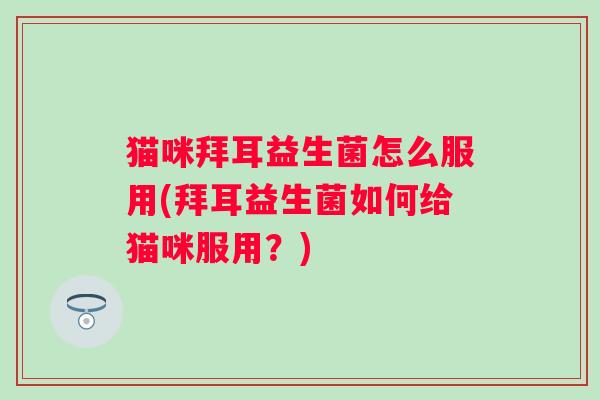 猫咪拜耳益生菌怎么服用(拜耳益生菌如何给猫咪服用?) 猫咪拜耳益生菌怎么服用(拜耳益生菌如何给猫咪服用?)