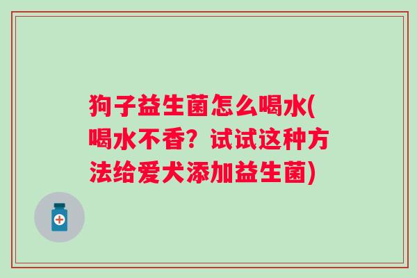 狗子益生菌怎么喝水(喝水不香?试试这种方法给爱犬添加益生菌) 狗子益生菌怎么喝水(喝水不香?试试这种方法给爱犬添加益生菌)