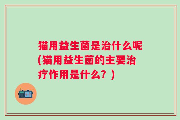 猫用益生菌是什么呢(猫用益生菌的主要作用是什么?) 猫用益生菌是什么呢(猫用益生菌的主要作用是什么?)