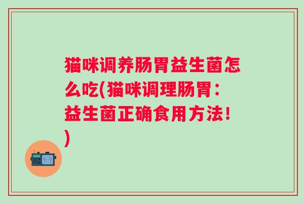 猫咪调养肠胃益生菌怎么吃(猫咪调理肠胃：益生菌正确食用方法！)