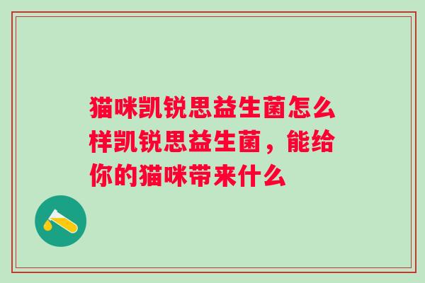 猫咪凯锐思益生菌怎么样凯锐思益生菌，能给你的猫咪带来什么