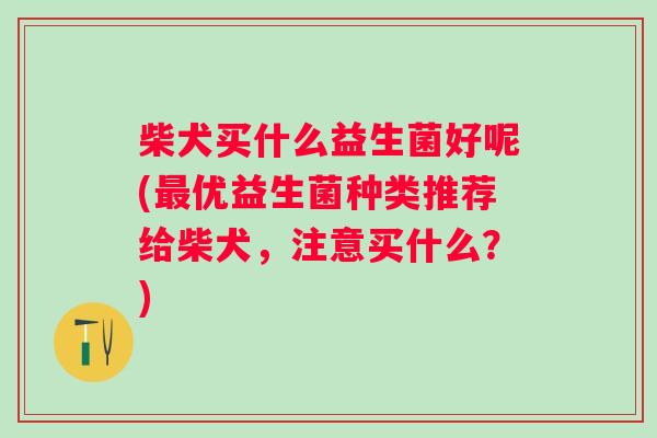 柴犬买什么益生菌好呢(优益生菌种类推荐给柴犬,注意买什么?) 柴犬买什么益生菌好呢(优益生菌种类推荐给柴犬,注意买什么?)