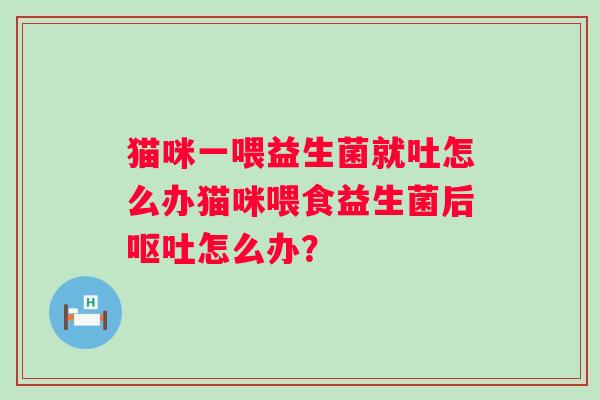 猫咪一喂益生菌就吐怎么办猫咪喂食益生菌后怎么办？