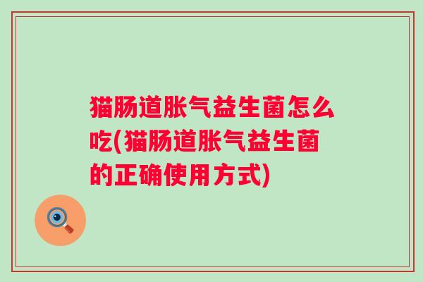 猫肠道益生菌怎么吃(猫肠道益生菌的正确使用方式)