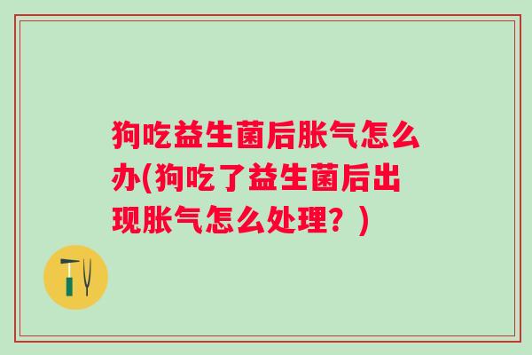 狗吃益生菌后怎么办(狗吃了益生菌后出现怎么处理?) 狗吃益生菌后怎么办(狗吃了益生菌后出现怎么处理?)