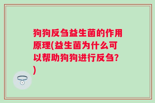 狗狗反刍益生菌的作用原理(益生菌为什么可以帮助狗狗进行反刍？)