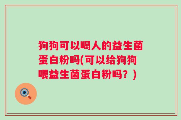 狗狗可以喝人的益生菌蛋白粉吗(可以给狗狗喂益生菌蛋白粉吗？)