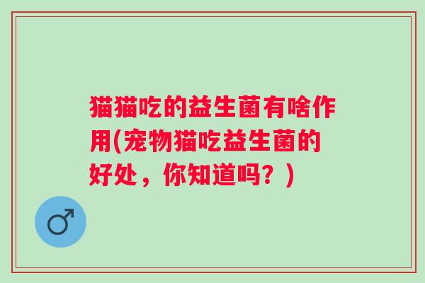 猫猫吃的益生菌有啥作用(宠物猫吃益生菌的好处,你知道吗?) 猫猫吃的益生菌有啥作用(宠物猫吃益生菌的好处,你知道吗?)