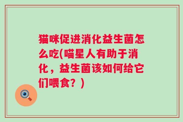 猫咪促进消化益生菌怎么吃(喵星人有助于消化，益生菌该如何给它们喂食？)
