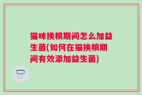 猫咪换粮期间怎么加益生菌(如何在猫换粮期间有效添加益生菌)