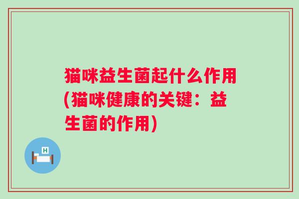 猫咪益生菌起什么作用(猫咪健康的关键：益生菌的作用)