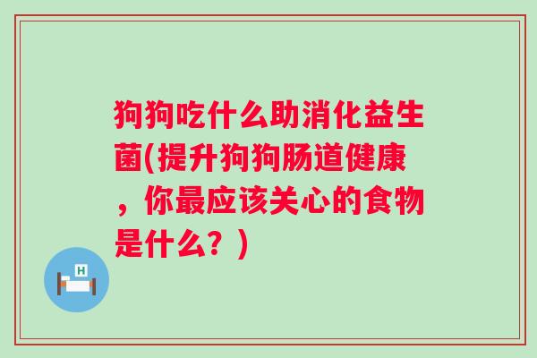 狗狗吃什么助消化益生菌(提升狗狗肠道健康，你应该关心的食物是什么？)
