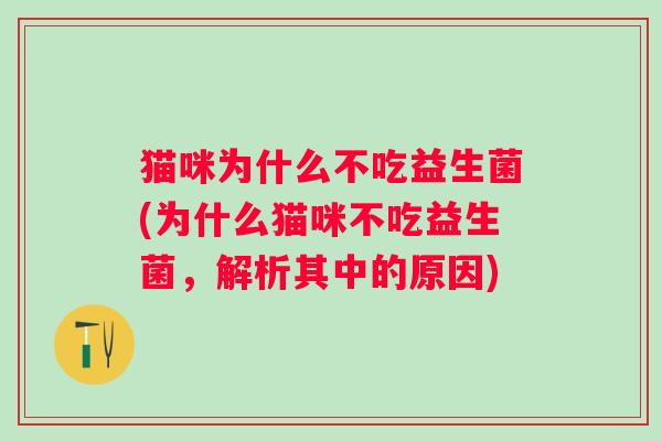 猫咪为什么不吃益生菌(为什么猫咪不吃益生菌，解析其中的原因)