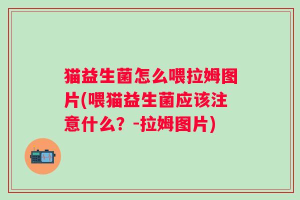 猫益生菌怎么喂拉姆图片(喂猫益生菌应该注意什么?-拉姆图片) 猫益生菌怎么喂拉姆图片(喂猫益生菌应该注意什么?-拉姆图片)