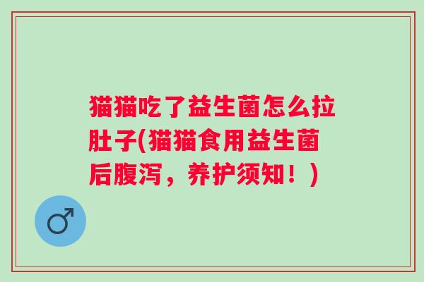猫猫吃了益生菌怎么拉肚子(猫猫食用益生菌后,养护须知!) 猫猫吃了益生菌怎么拉肚子(猫猫食用益生菌后,养护须知!)
