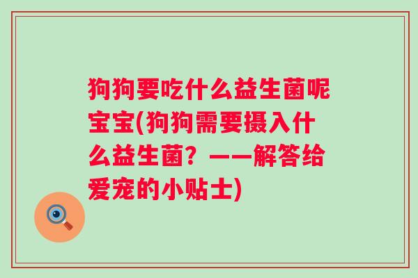 狗狗要吃什么益生菌呢宝宝(狗狗需要摄入什么益生菌？——解答给爱宠的小贴士)