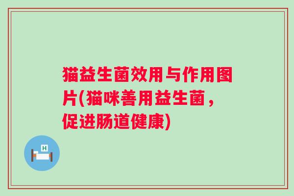 猫益生菌效用与作用图片(猫咪善用益生菌，促进肠道健康)