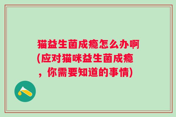 猫益生菌成瘾怎么办啊(应对猫咪益生菌成瘾,你需要知道的事情) 猫益生菌成瘾怎么办啊(应对猫咪益生菌成瘾,你需要知道的事情)