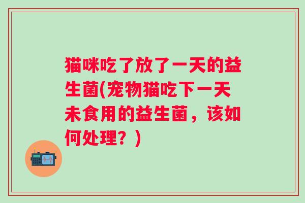 猫咪吃了放了一天的益生菌(宠物猫吃下一天未食用的益生菌，该如何处理？)