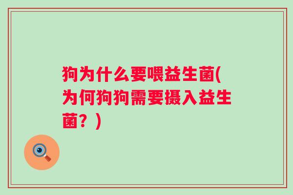 狗为什么要喂益生菌(为何狗狗需要摄入益生菌？)