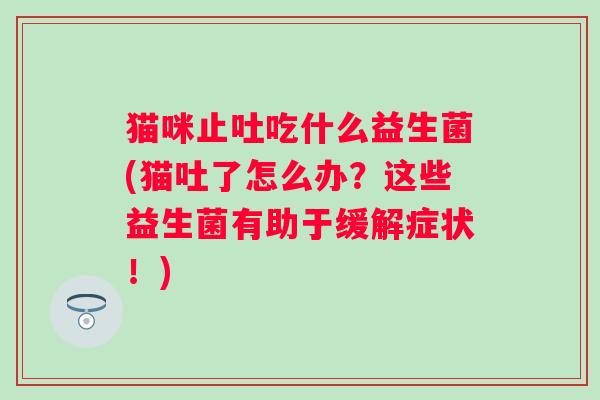 猫咪止吐吃什么益生菌(猫吐了怎么办?这些益生菌有助于缓解症状!) 猫咪止吐吃什么益生菌(猫吐了怎么办?这些益生菌有助于缓解症状!)