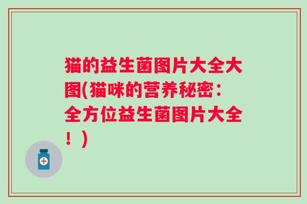 猫的益生菌图片大全大图(猫咪的营养秘密：全方位益生菌图片大全！)