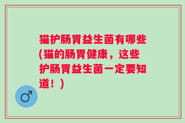 猫护肠胃益生菌有哪些(猫的肠胃健康,这些护肠胃益生菌一定要知道!) 猫护肠胃益生菌有哪些(猫的肠胃健康,这些护肠胃益生菌一定要知道!)