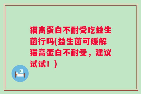 猫高蛋白不耐受吃益生菌行吗(益生菌可缓解猫高蛋白不耐受,建议试试!) 猫高蛋白不耐受吃益生菌行吗(益生菌可缓解猫高蛋白不耐受,建议试试!)