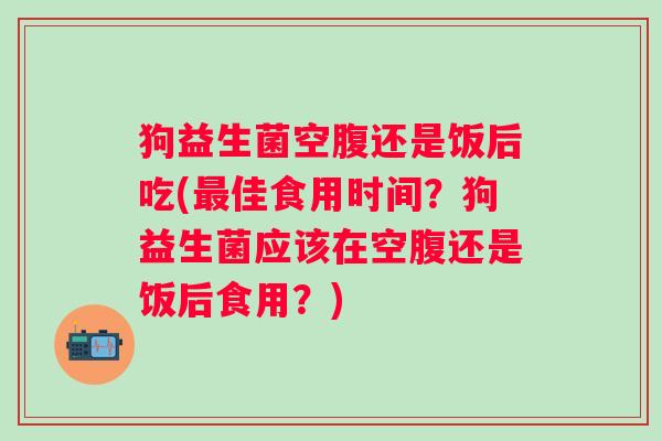 狗益生菌空腹还是饭后吃(佳食用时间？狗益生菌应该在空腹还是饭后食用？)