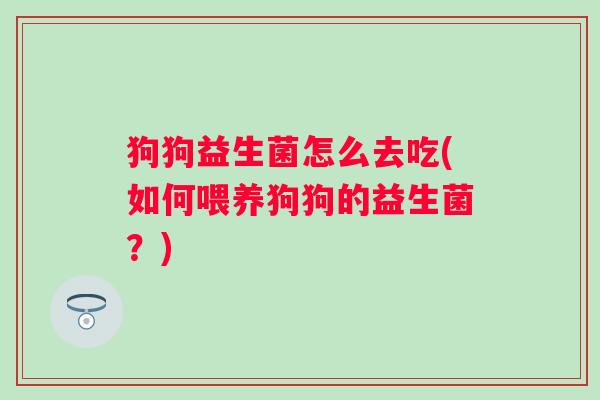 狗狗益生菌怎么去吃(如何喂养狗狗的益生菌？)