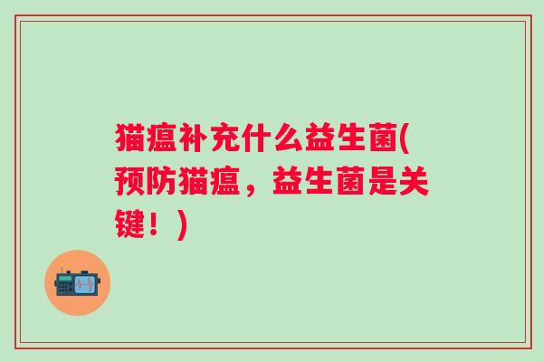 猫瘟补充什么益生菌(猫瘟，益生菌是关键！)