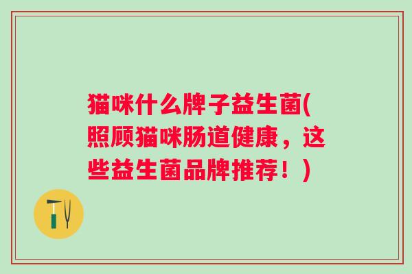 猫咪什么牌子益生菌(照顾猫咪肠道健康,这些益生菌品牌推荐!) 猫咪什么牌子益生菌(照顾猫咪肠道健康,这些益生菌品牌推荐!)