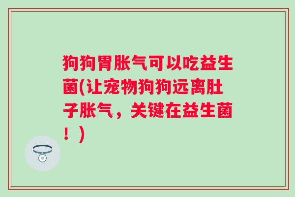 狗狗胃可以吃益生菌(让宠物狗狗远离肚子，关键在益生菌！)