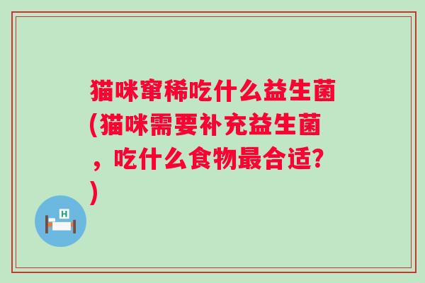 猫咪窜稀吃什么益生菌(猫咪需要补充益生菌，吃什么食物合适？)