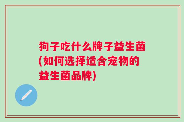 狗子吃什么牌子益生菌(如何选择适合宠物的益生菌品牌) 狗子吃什么牌子益生菌(如何选择适合宠物的益生菌品牌)