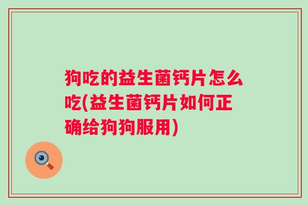 狗吃的益生菌钙片怎么吃(益生菌钙片如何正确给狗狗服用) 狗吃的益生菌钙片怎么吃(益生菌钙片如何正确给狗狗服用)