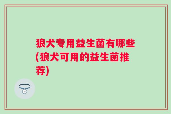 狼犬专用益生菌有哪些(狼犬可用的益生菌推荐)