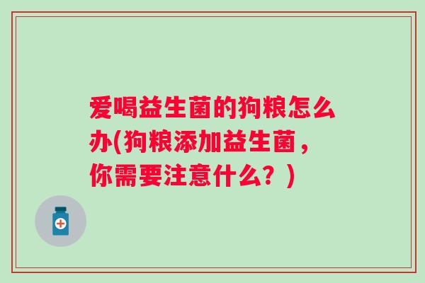 爱喝益生菌的狗粮怎么办(狗粮添加益生菌，你需要注意什么？)