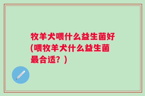 牧羊犬喂什么益生菌好(喂牧羊犬什么益生菌合适？)
