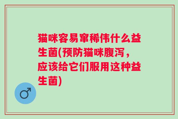 猫咪容易窜稀伟什么益生菌(猫咪，应该给它们服用这种益生菌)